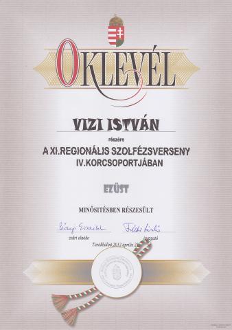 Oklevél: Vizi István